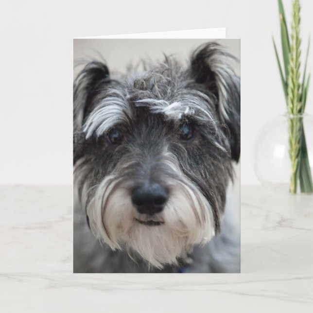 Tarjeta de saludo de perro Schnauzer (Anverso)