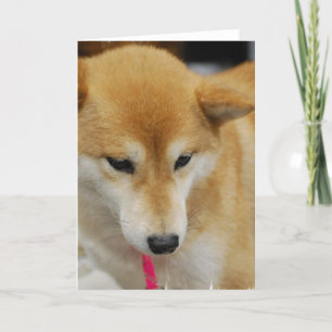 Tarjeta de saludo de perro Shiba Inu