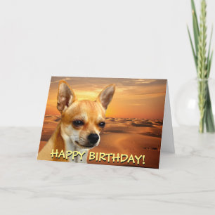 Tarjeta de saludo de personalizable Cute chihuahua