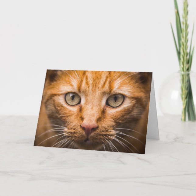 Tarjeta de saludo de personalizable de cierre de C (Anverso)