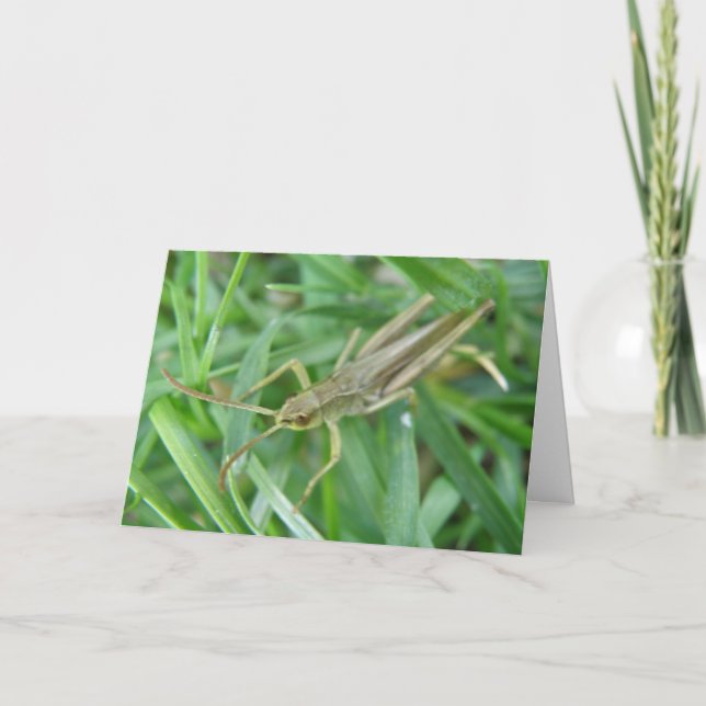 Tarjeta de saludo de Personalizable Grasshopper (Anverso)