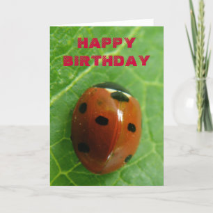 Tarjeta de saludo de Personalizable Ladybug