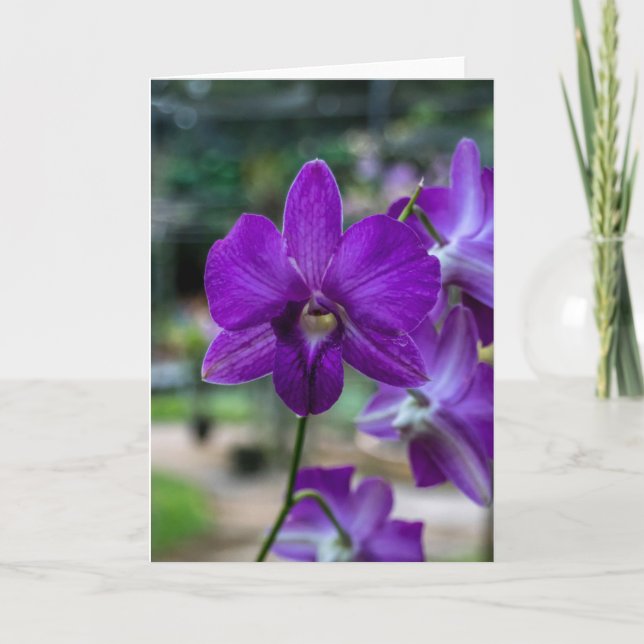 Tarjeta de saludo de Personalizable Proep Purple O (Anverso)