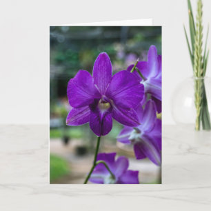 Tarjeta de saludo de Personalizable Proep Purple O