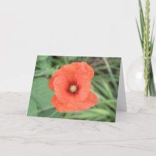 Tarjeta de saludo de Personalizado de flor de amap