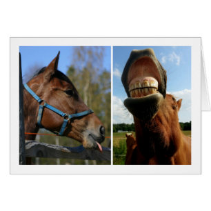 Tarjeta de saludo de personalizado Horsing Around