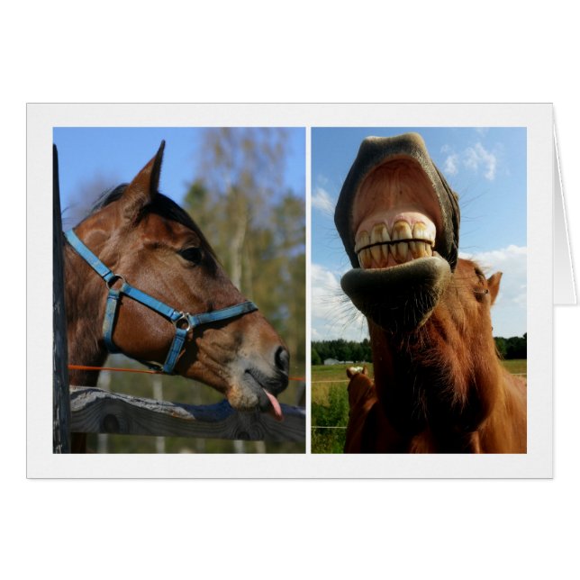 Tarjeta de saludo de personalizado Horsing Around (Anverso (Horizontal))