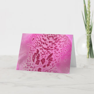 Tarjeta de saludo de Personalizado Pink Foxglove P