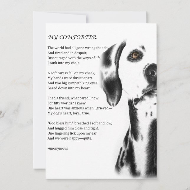 Tarjeta de saludo de poesía Dalmatian Dog Comforte (Anverso)