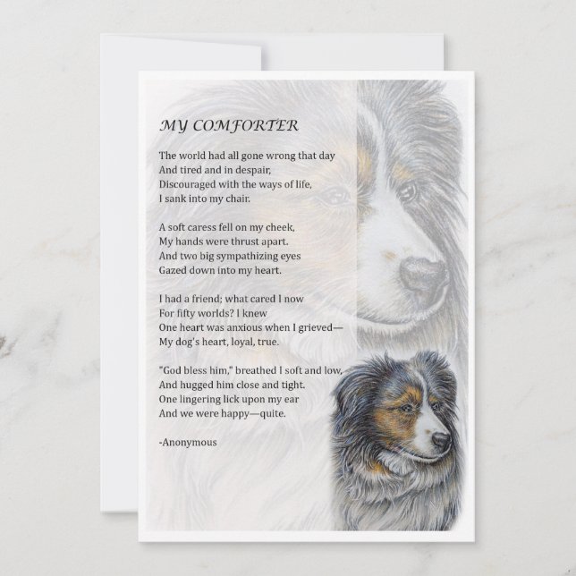 Tarjeta de saludo de poesía de Collie Dog Comforte (Anverso)