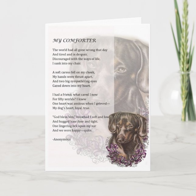Tarjeta de saludo de poesía de Dachshund Dog Comfo (Anverso)