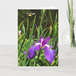 tarjeta de saludo de primavera #1