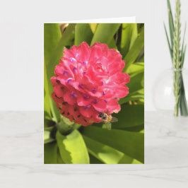 tarjeta de saludo de primavera #3 (en blanco dentr