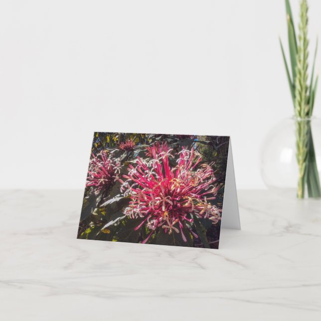 Tarjeta de saludo de primavera con señal de Starbu (Anverso)