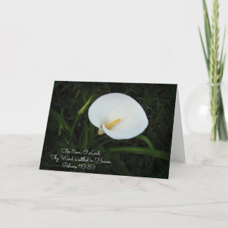 Tarjeta de saludo de Pslams 119 Calla Lilly