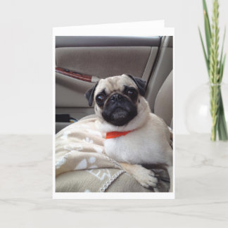 Tarjeta de saludo de Pug