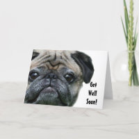Tarjeta de saludo de Pug Dog Dog para ponerse bien