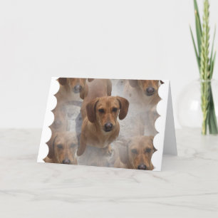 Tarjeta de saludo de rescate de Dachshund