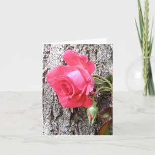 Tarjeta de saludo de Rosa Climbing on Tree