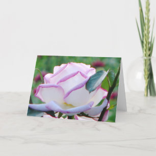 Tarjeta de saludo de Rosa de té con matices rosado