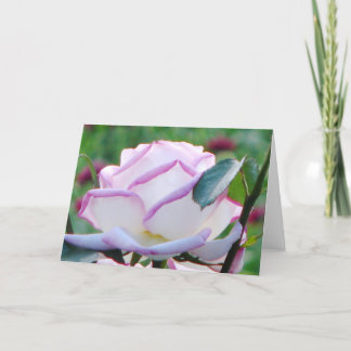 Tarjeta de saludo de Rosa de té con matices rosado