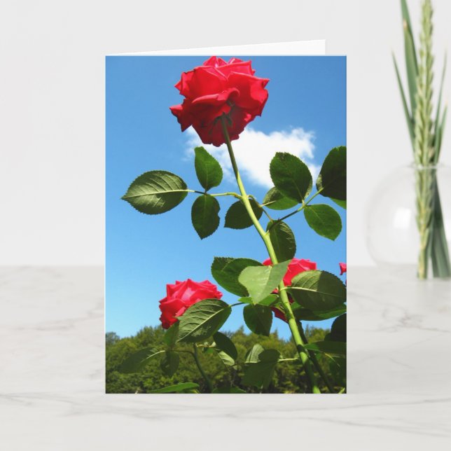 Tarjeta de saludo de rosas rojas (Anverso)