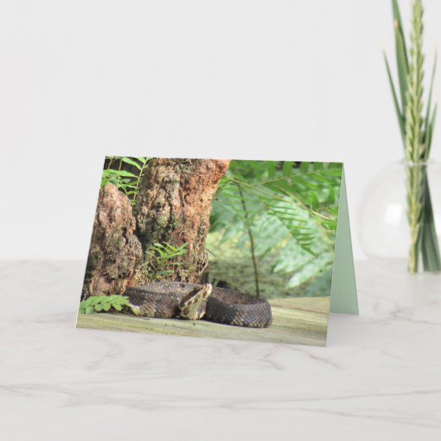 Tarjeta de saludo de serpiente Cottonmouth / Water (Anverso)