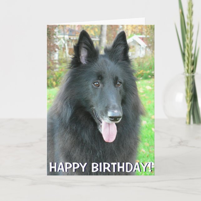 Tarjeta de saludo de Shepherd Dog de Bélgica (Anverso)