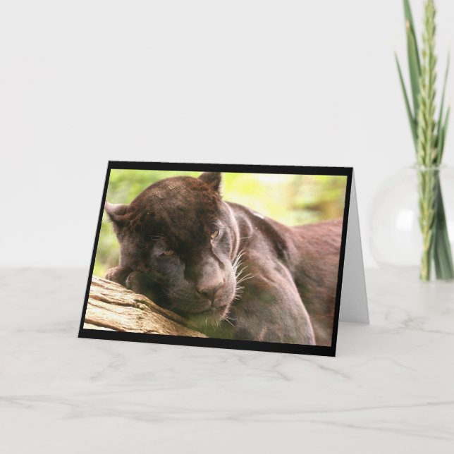 Tarjeta de saludo de Sleeping Panther Black (Anverso)