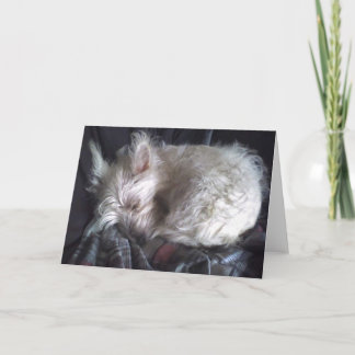 Tarjeta de saludo de Sugar Bear Sleeping