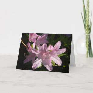 Tarjeta de saludo de tarde de azalea