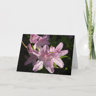 Tarjeta de saludo de tarde de azalea