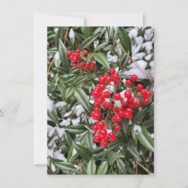 Tarjeta de saludo de temporada de los Navidades Jo