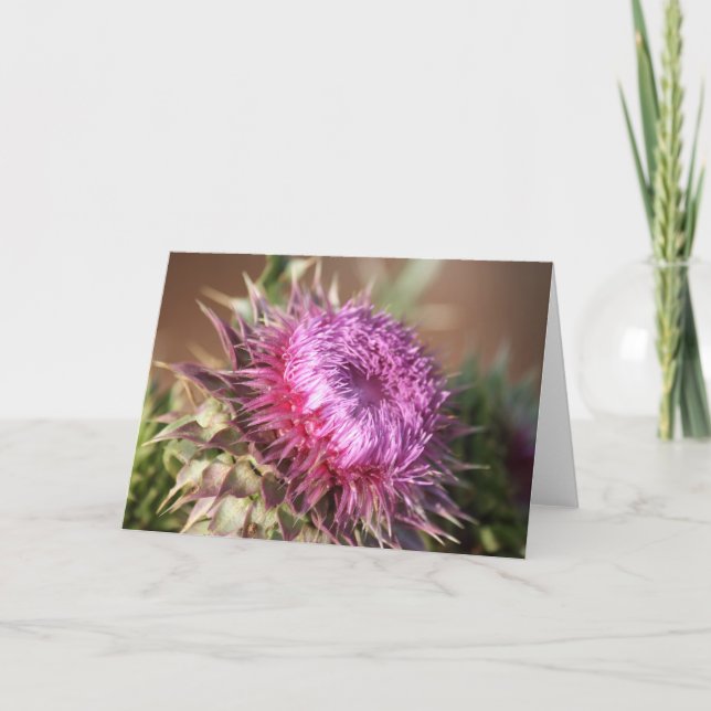 Tarjeta de saludo de Texas Purple Thistle (Anverso)