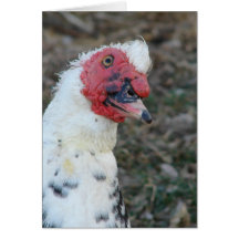 Tarjeta de saludo de todas las ocasiones de Muscov