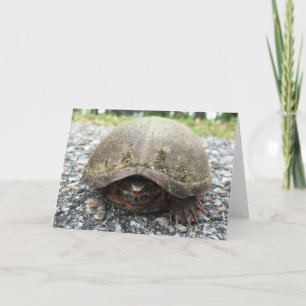 tarjeta de saludo de tortuga de canal