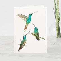 Tarjeta de saludo de tres colibríes