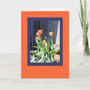 Tarjeta de saludo de tulipanes brillante