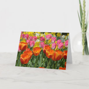 Tarjeta de saludo de tulipanes de primavera rosa y