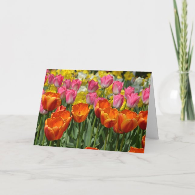 Tarjeta de saludo de tulipanes de primavera rosa y (Anverso)