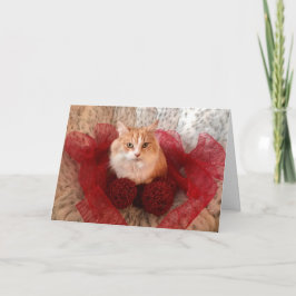 Tarjeta de saludo de vacaciones Fluffy Cat and Red