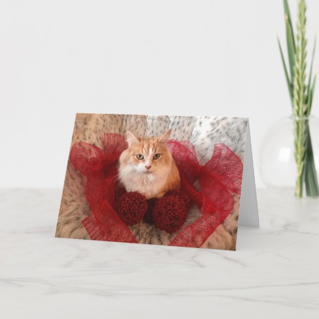 Tarjeta de saludo de vacaciones Fluffy Cat and Red (Anverso)