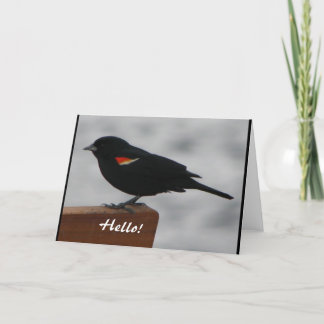 Tarjeta de saludo de vida silvestre