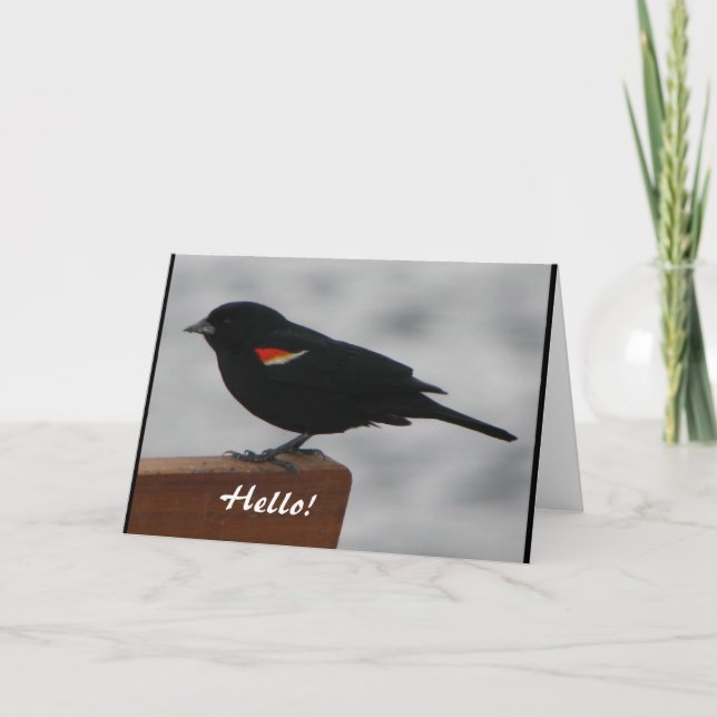 Tarjeta de saludo de vida silvestre (Anverso)