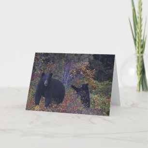 Tarjeta de saludo de vida silvestre BLACK BEARS