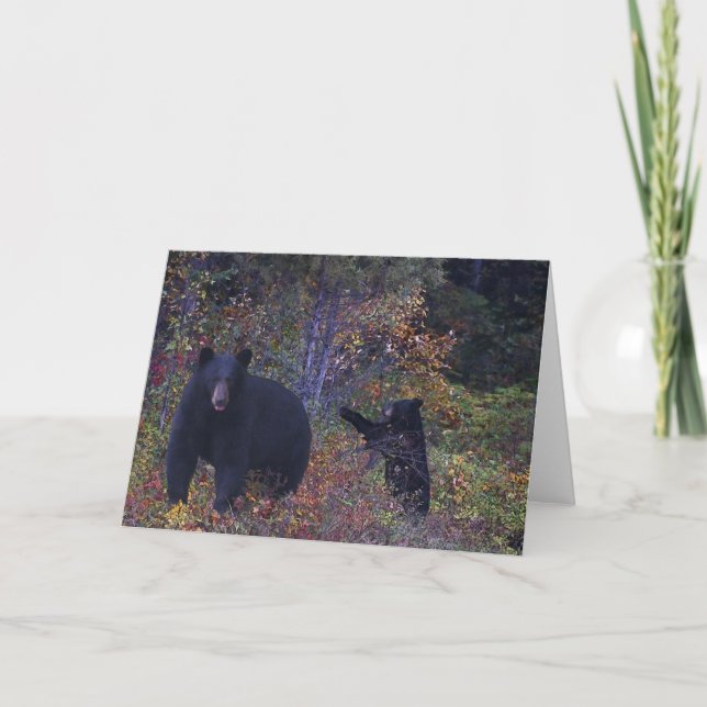 Tarjeta de saludo de vida silvestre BLACK BEARS (Anverso)
