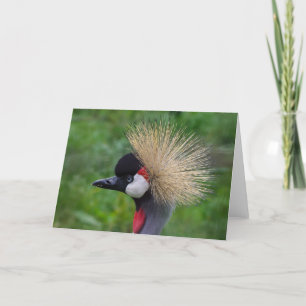 Tarjeta de saludo de vida silvestre, en blanco den