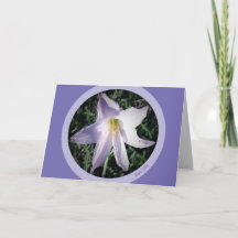 Tarjeta de saludo de Violet Rain Lilly