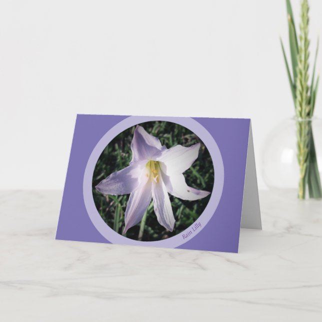 Tarjeta de saludo de Violet Rain Lilly (Anverso)