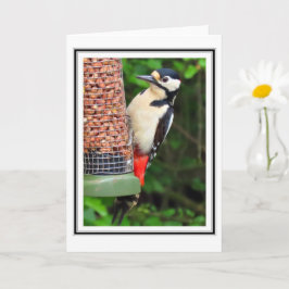 Tarjeta de saludo de Woodpecker